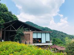 -远山有窑