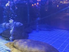 -王捌小院(红花坡店)