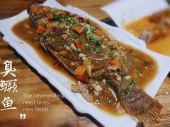 -臭桂鱼儿特色餐厅(朝晖七小区北区店)