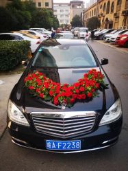 点击看大图 -蚂蚁婚车