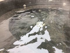 -金石唐风国际温泉会馆