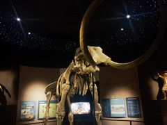 -呼伦贝尔民族博物馆