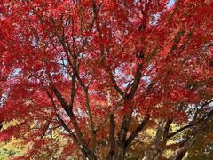 -浙江大学(紫金港校区)