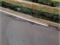 -侵华日军南京大屠杀遇难同胞纪念馆