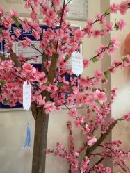 -SILKTONE诗丽堂美容