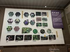 -北京中医药大学-中医药博物馆