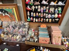 -猫咪博物馆(顶澳仔猫街店)
