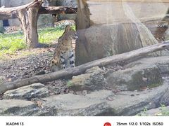 -杭州野生动物世界