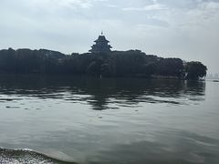 -金鸡湖桃花岛
