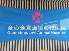 -全心全意动物诊疗中心医院(北苑店)