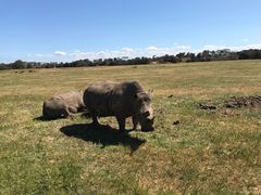 -威勒比开放式动物园