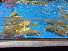 -徐记海鲜(大雁塔|金都店)