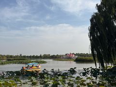 -白洋淀景区