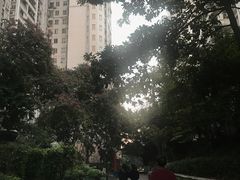 小区环境-保利花园