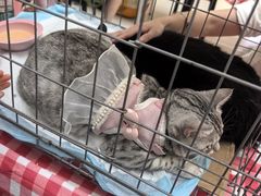 -北京华联购物中心(天通苑店)