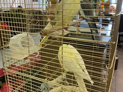 -潇湘·永州会馆(百子湾店)