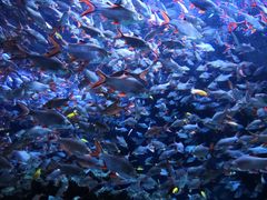 -成都浩海立方海洋公园