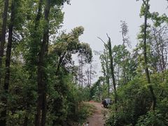 -青龙山国家森林公园