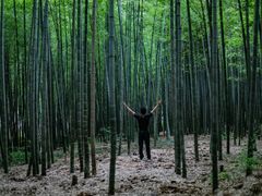 -虞山风景区