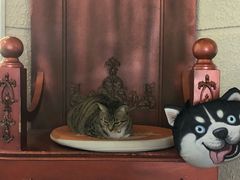 -逃脱反斗城沉浸剧情密室(北京路店)