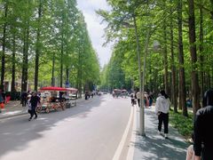 -日照海滨国家森林公园