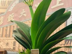 -三玛璐酒楼(汉口路店)