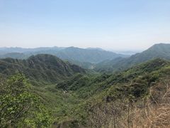 -大岭沟猕猴桃谷风景区