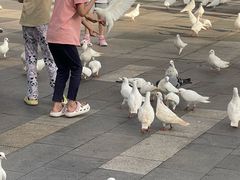 -江燕路万科里