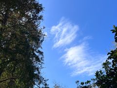 -上海滨江森林公园