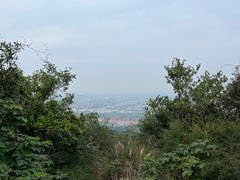 -杭州半山国家森林公园