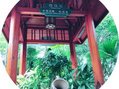 -碧水湾温泉