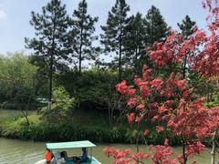 -绍兴镜湖国家城市湿地公园
