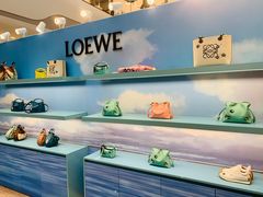 -LOEWE罗意威(北京SKP女装店(一层))