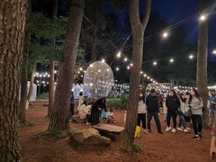 景点-汉拿树木园