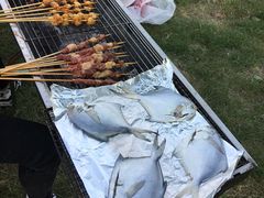 -梁鸿国家湿地公园
