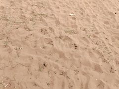 -红碱淖景区
