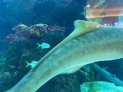 -鸿通城购物中心