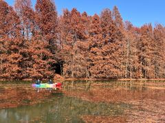 -上海海湾国家森林公园