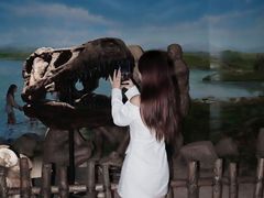 -中华赏石园