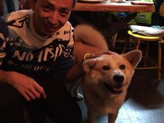 百好乐比萨-百好乐宠物友好餐厅(朝外大街店)