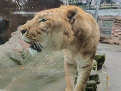 -宁波野生动物园