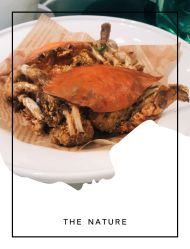 -上海虹桥锦江大酒店·宴会厅