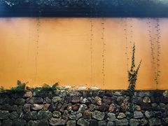 -兰边碗(鼓楼店)