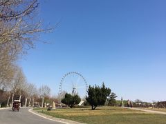 -石家庄市植物园