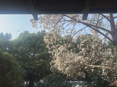 -南京晨光1865创意产业园