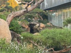 -罗红摄影艺术馆