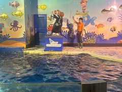 -太平洋海底世界