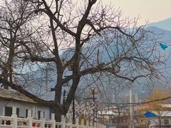 -水峪民俗村