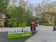 -合肥滨湖国家森林公园