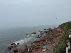 -燕儿岛山公园